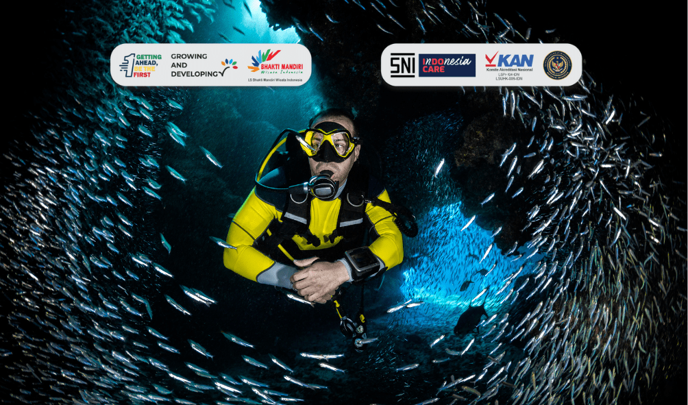 Wisata Selam Malam Hari