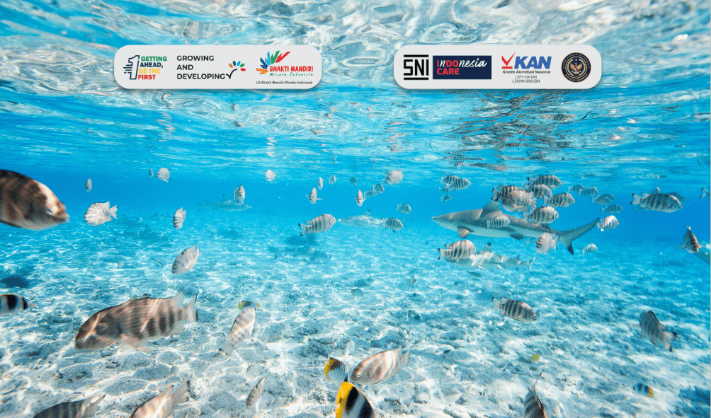 Apa Itu Sertifikasi Usaha Wisata Selam