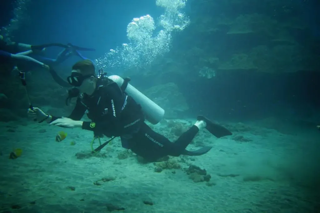 Tanjung Benoa – Surga Watersport dan Diving