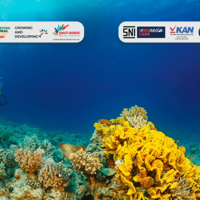 Pengaruh Wisata Selam di Bidang Pariwisata