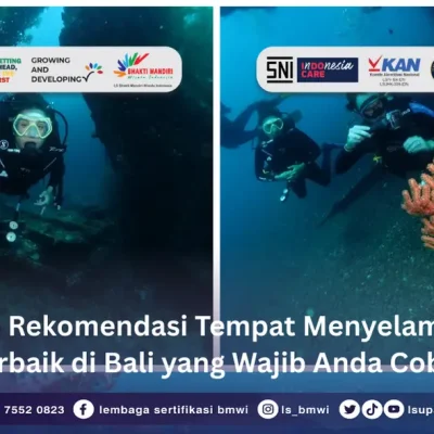 Rekomendasi Tempat Menyelam Terbaik di Bali