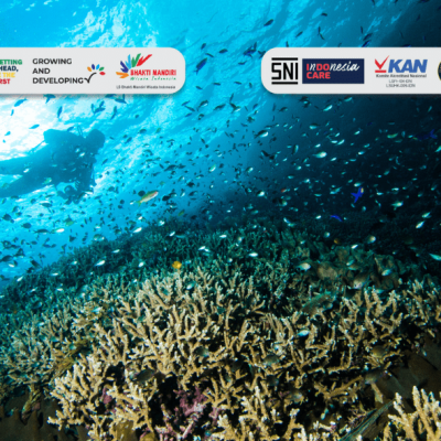 Wisata Selam Terbaik di Indonesia
