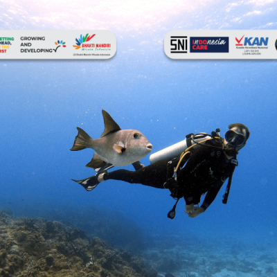 wisata selam di kalimantan timur